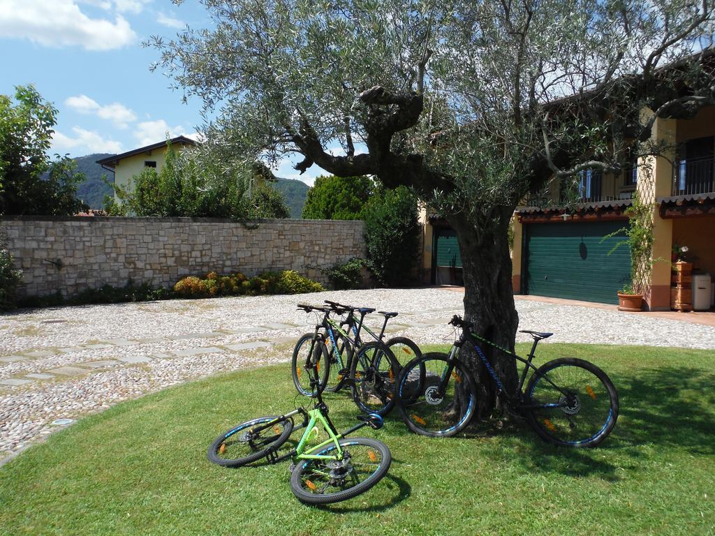 Agriturismo Villa Antonella イゼーオ エクステリア 写真